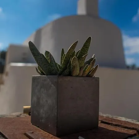 Villa White Stone *